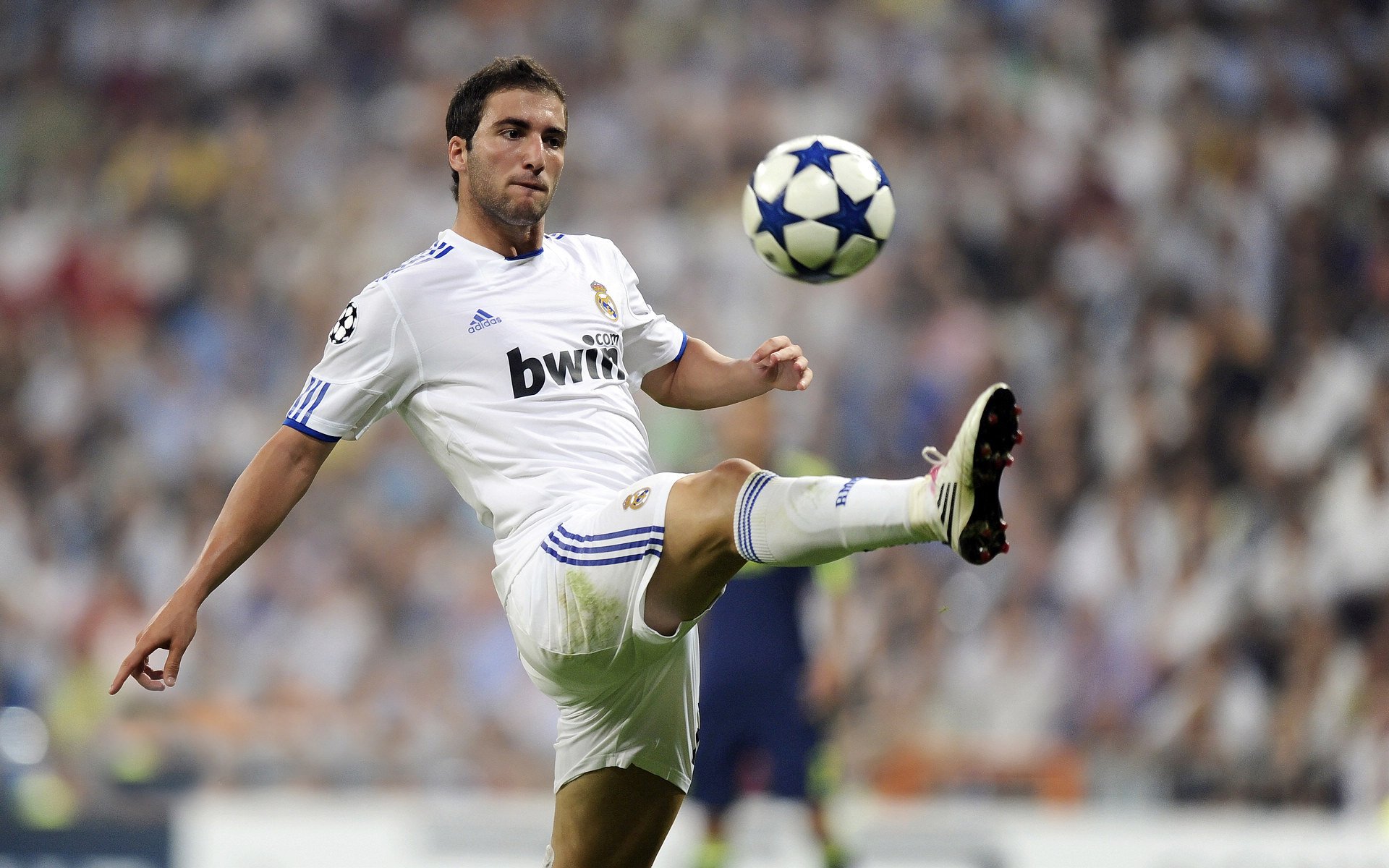 _锦标赛期间的幕后工作：赛事组织者揭秘_，锦标赛项目